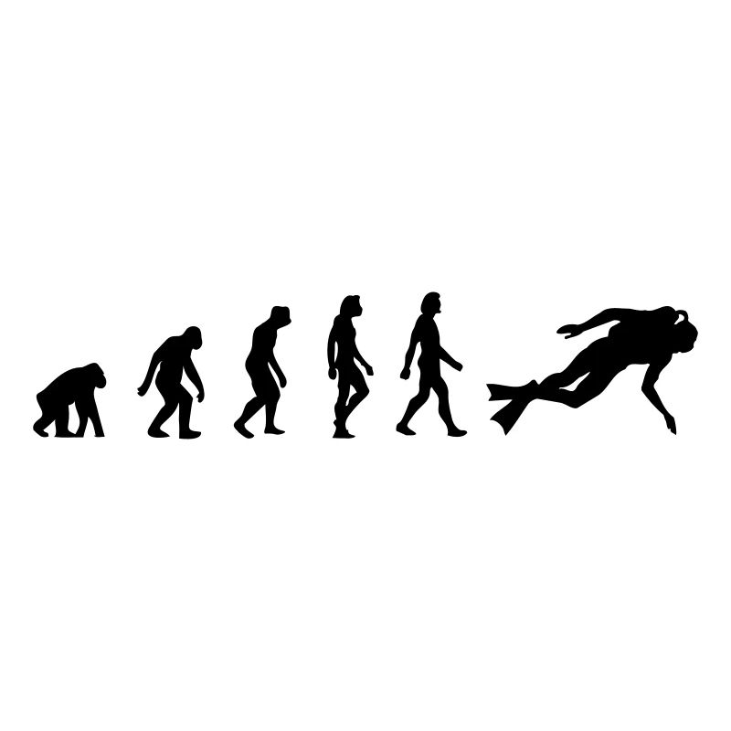 L évolution de la Plongée