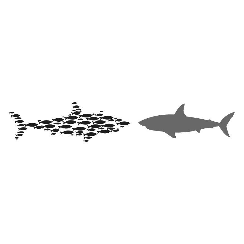 Shark