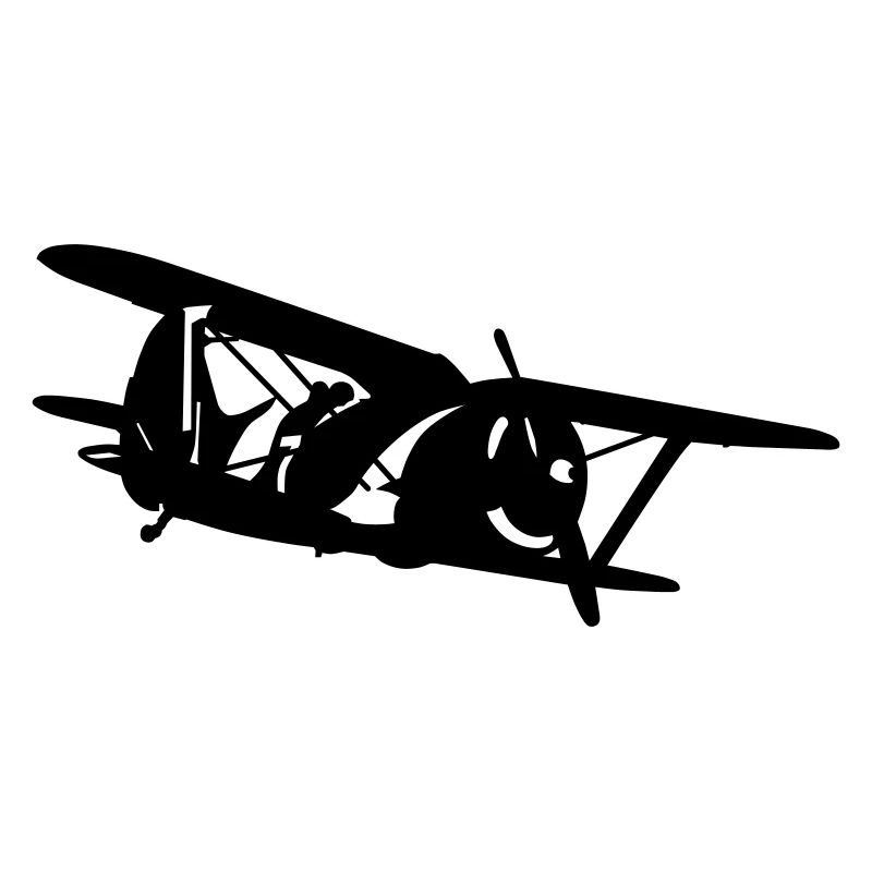 Biplane i-153