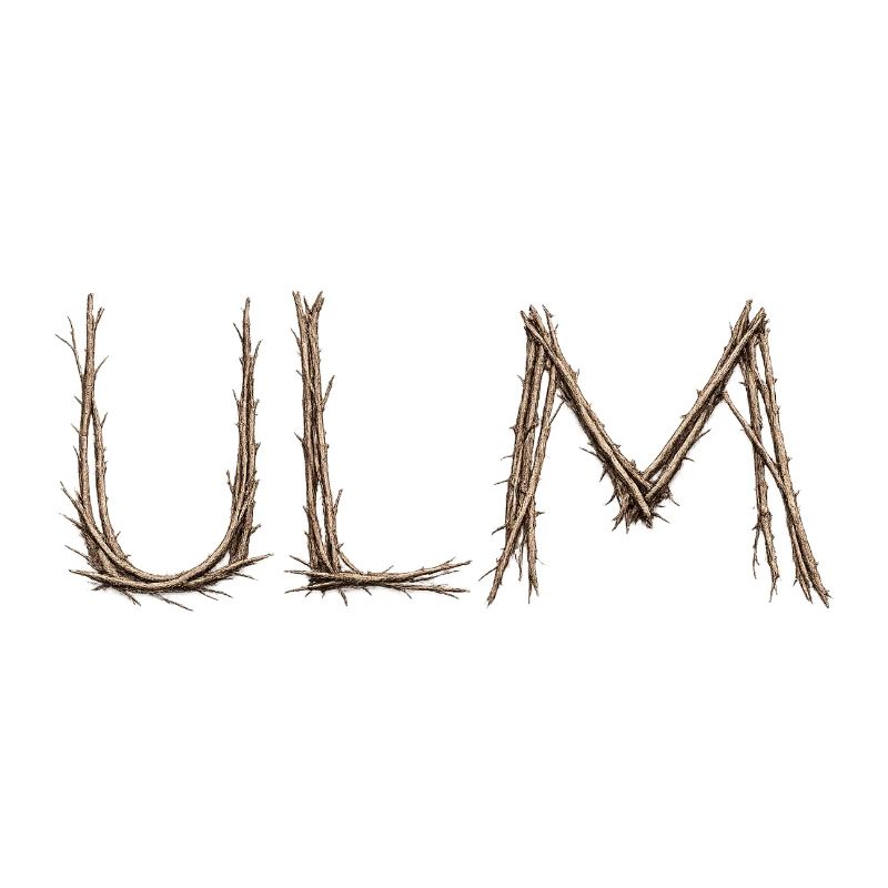 Lettrage ULM avec des brindilles posées par le moineau