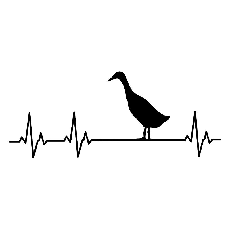 Runner Duck - Runner Duck Breeder - Indian Runner Duck