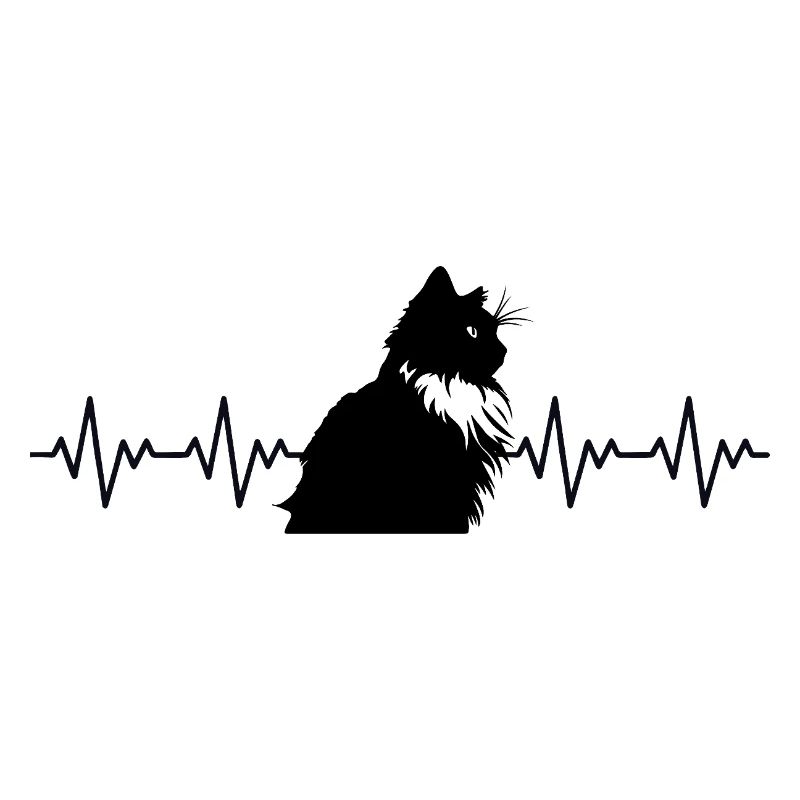 ECG du rythme cardiaque d'un chat Ragdoll