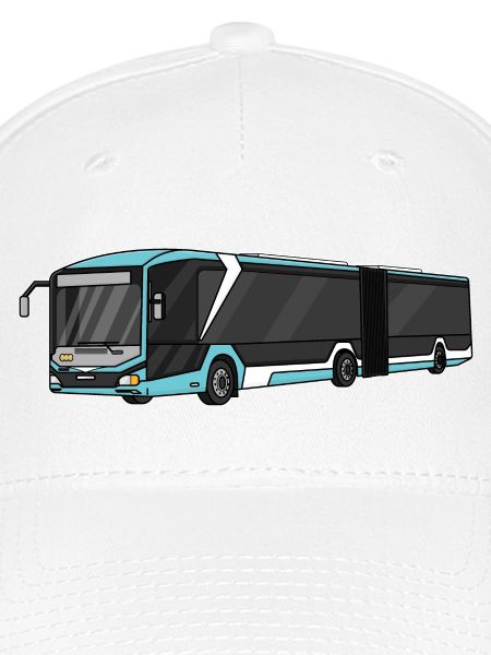 Bus, Schulbus, Busfahrer
