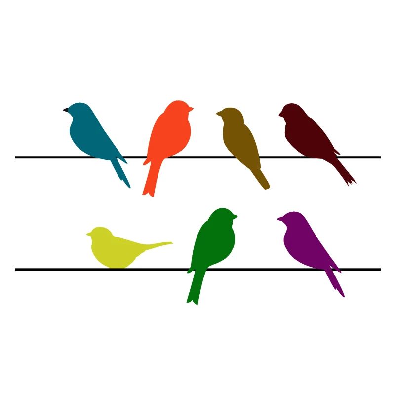 Schwalben Vögel