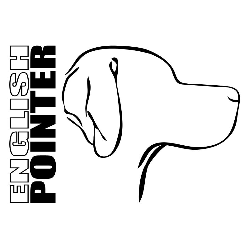 ENGLISH POINTER PROFIL