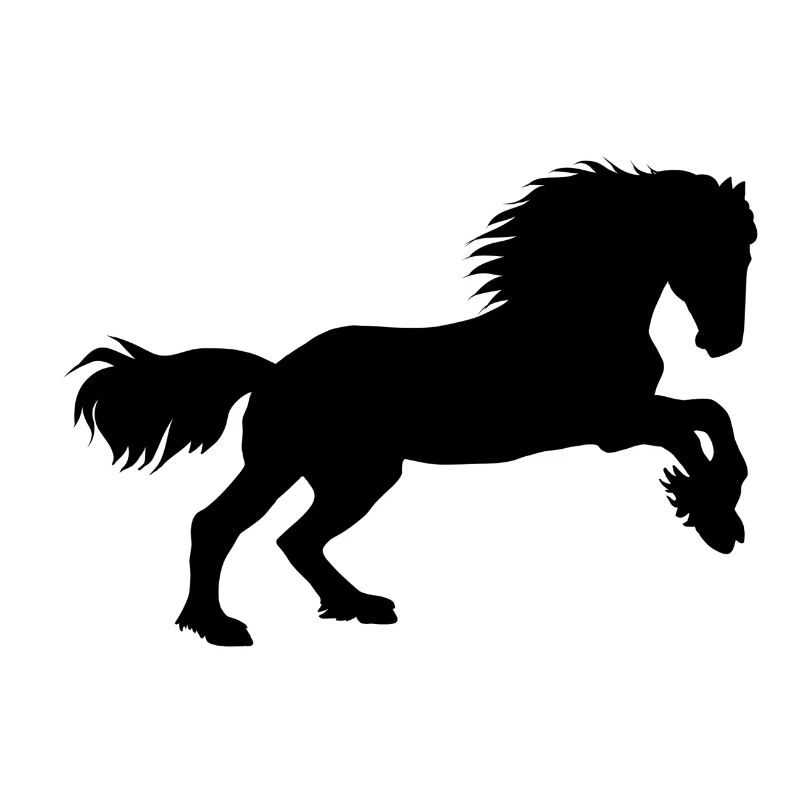 Friesen Galopp