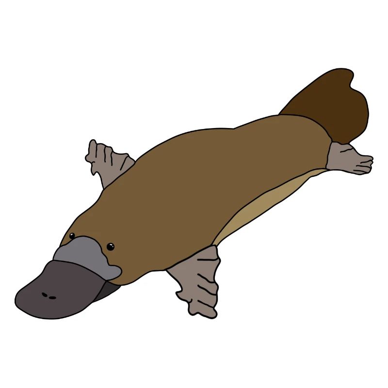 Ornithorynque