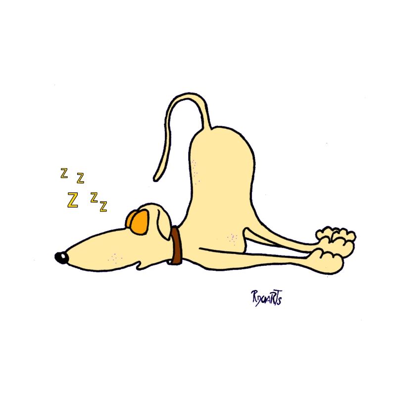 Greyhound - just sleeping