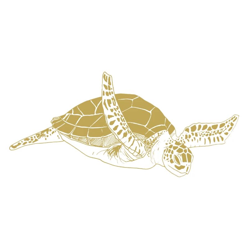Illustrated designs with turtle