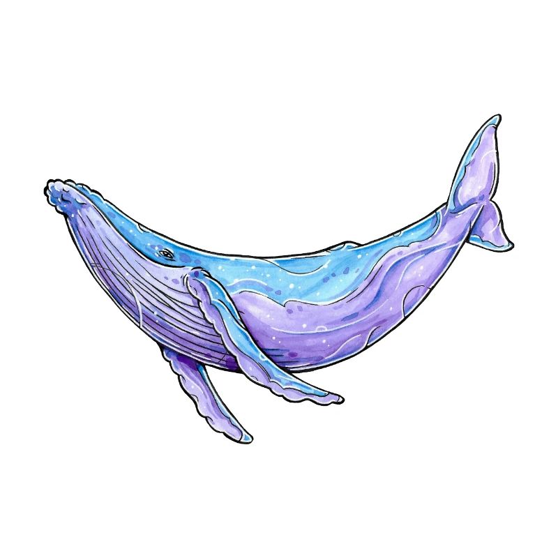 Buckelwal Aquarell
