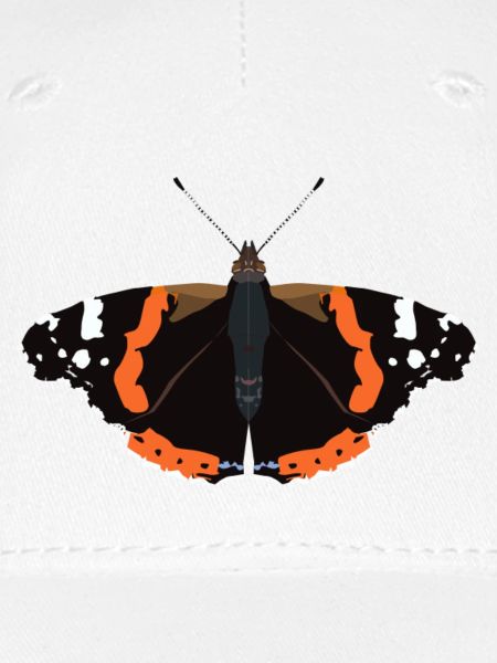 Schmetterlinge: Der Admiral