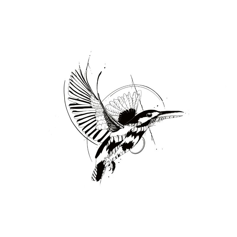 Eisvogel