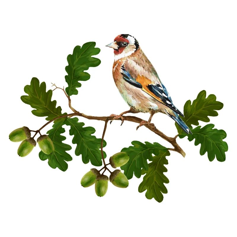 Bunter Vogel