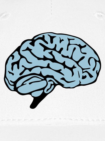 brain design