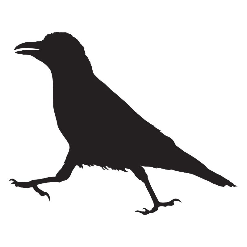 Krähe I