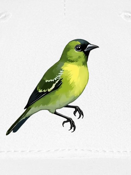 Grünfink Vogel