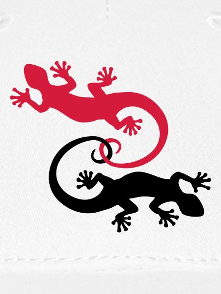 BALI - GECKO TWINS