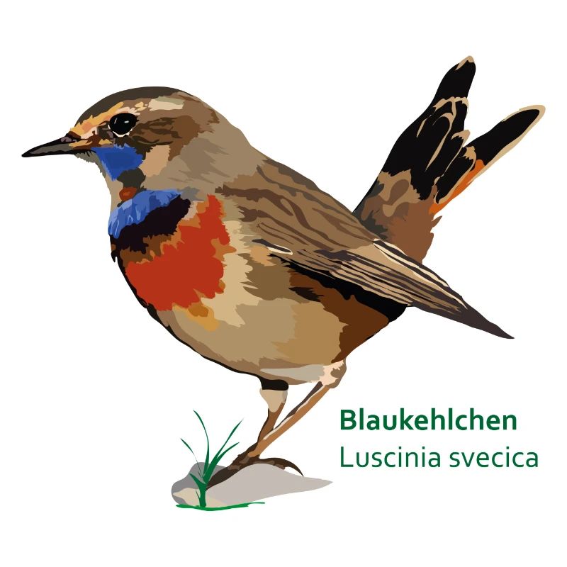 Blaukehlchen_de.png