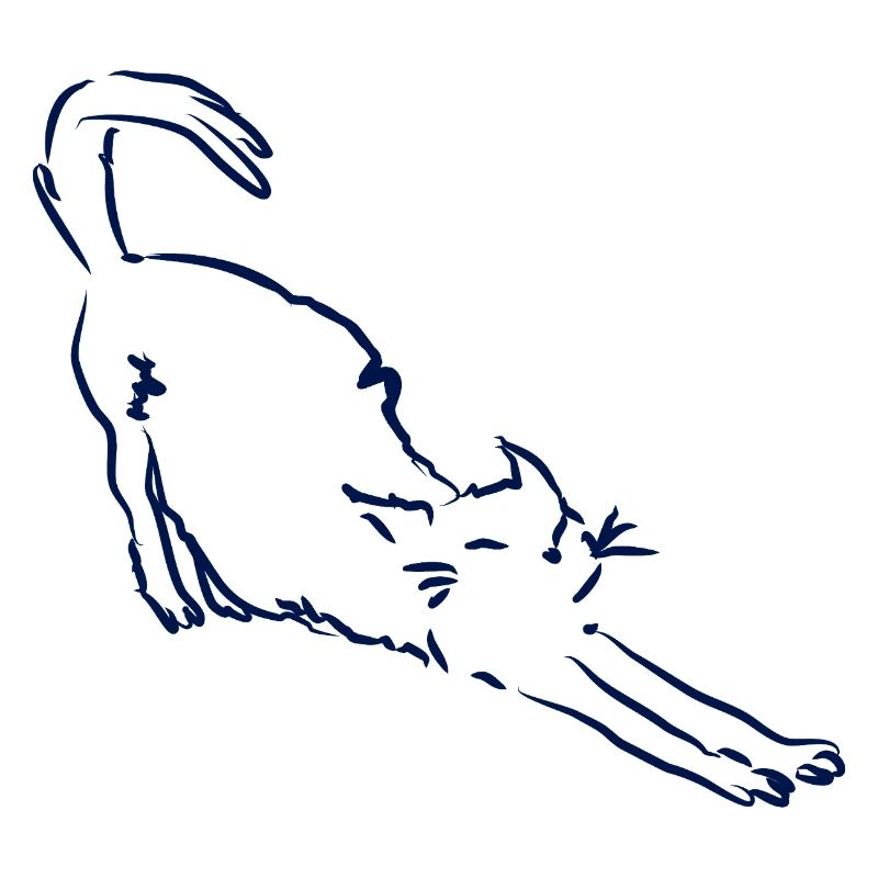 Le chat s’étire