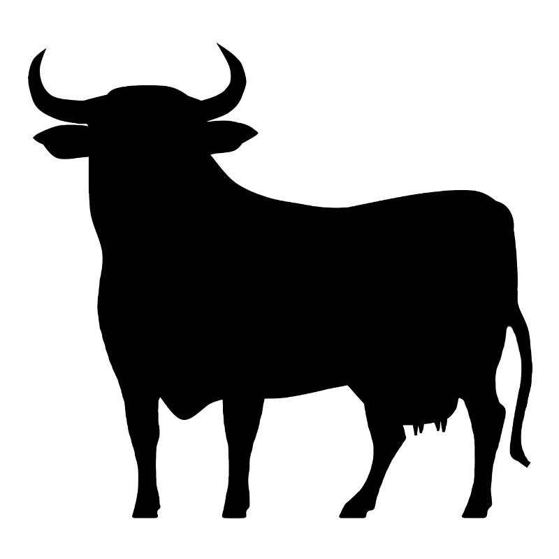 allgäu_kuh_schwarz