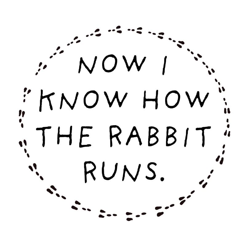 Now I know how the rabbit runs.