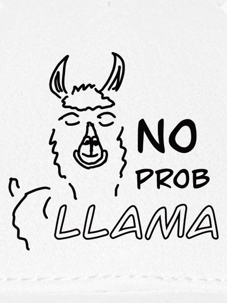 No Prob LLAMA