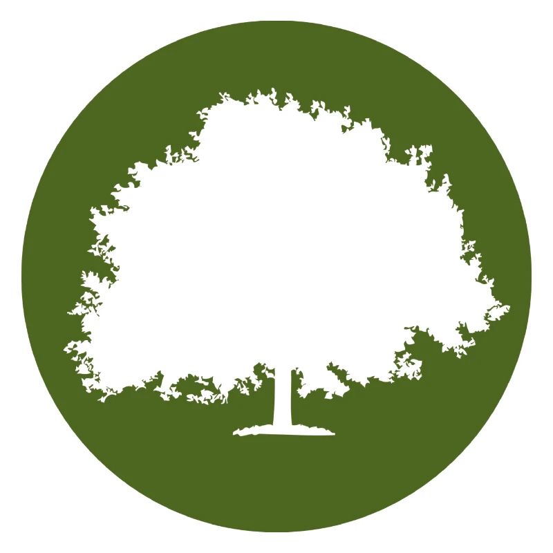 Baum