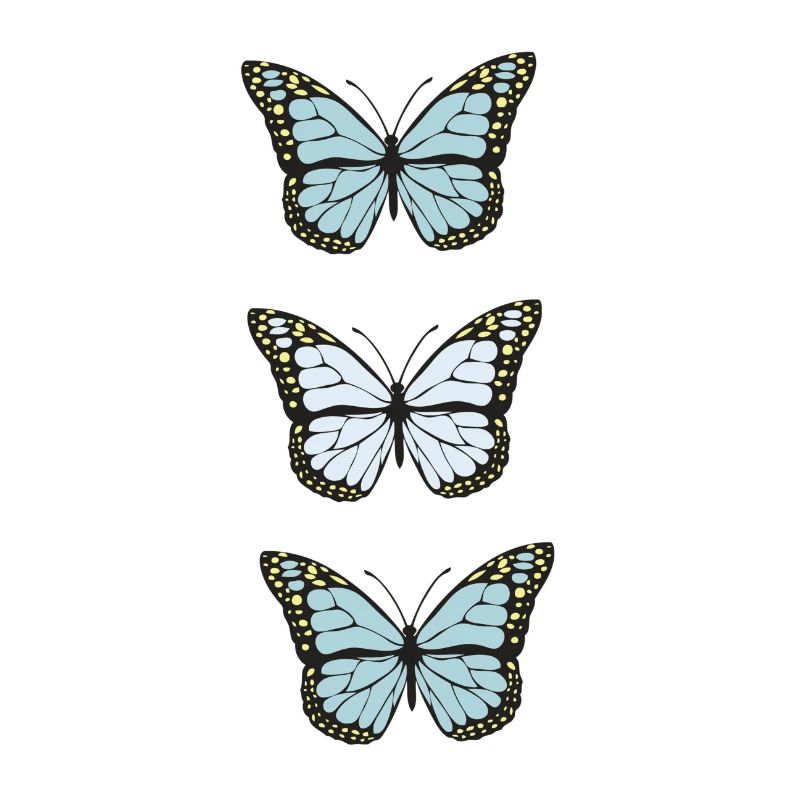 Collection de papillons