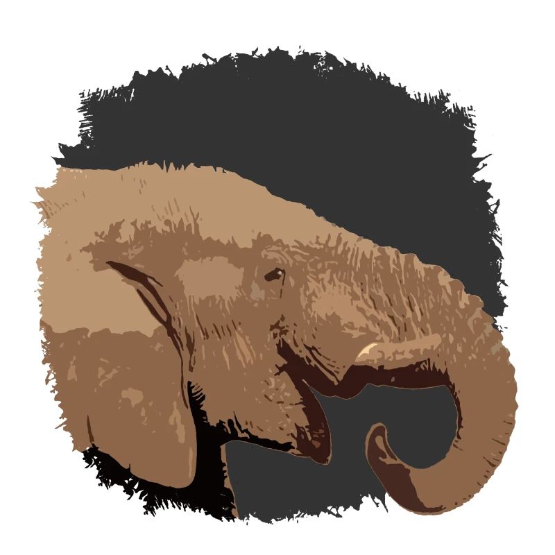 Elephant head with stylized look
