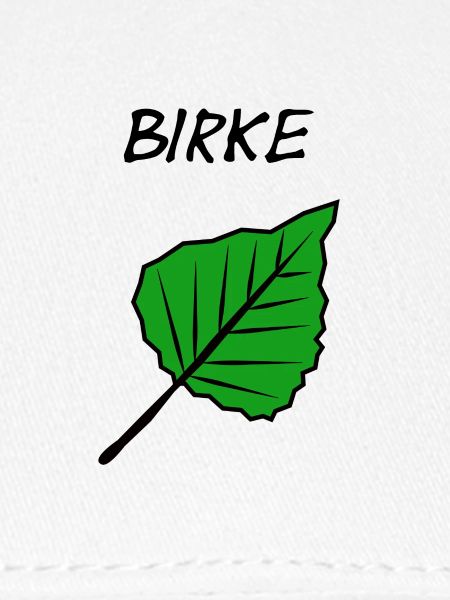 Birke