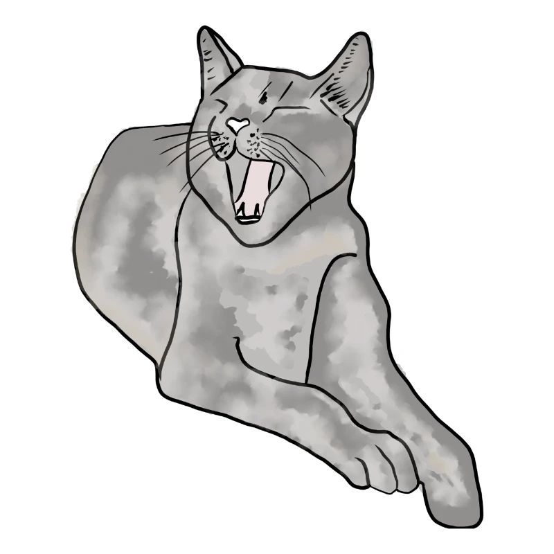 chat