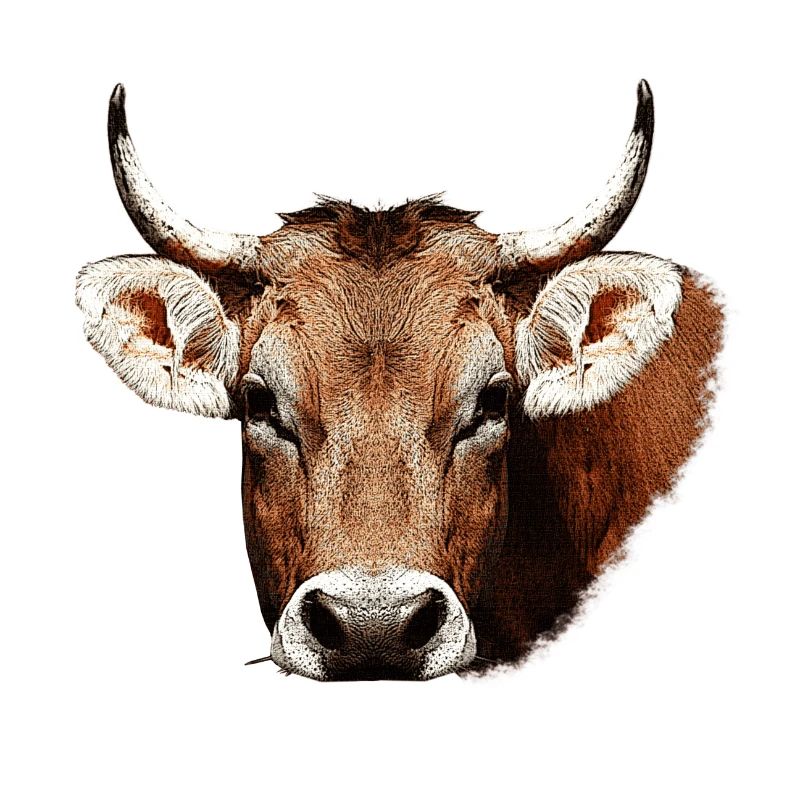 süße tierdesigns mädchen, kuh beige, rustikal