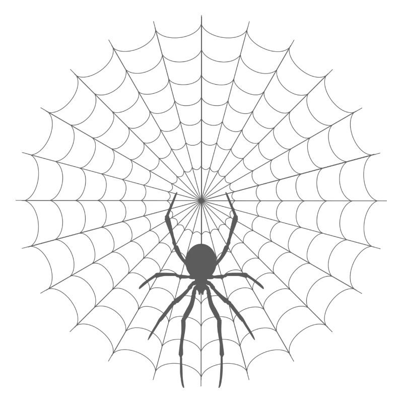 Spider Web Silhouette