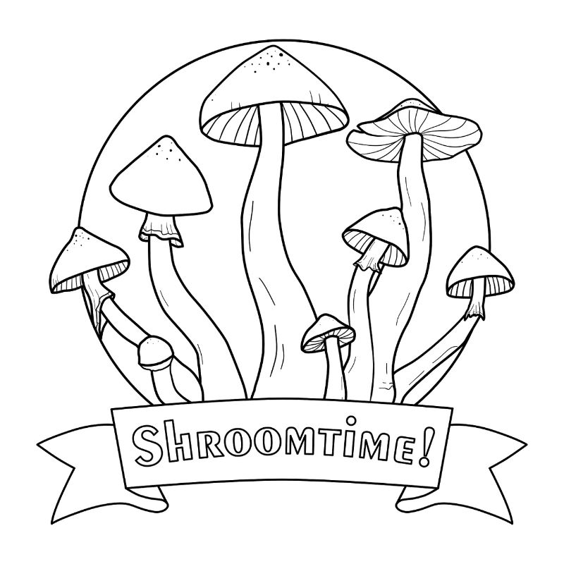 C’est l’heure des champignons ! Psilocybe Cubensis noir et blanc