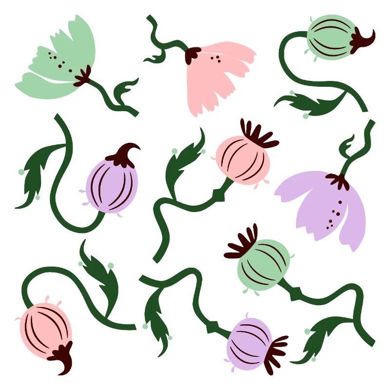 Kräftige Mohnblumen L Florale Mohnblumen