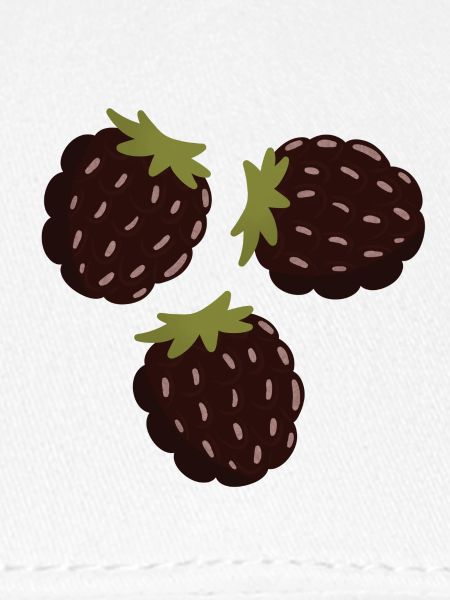 Berry Delight Illustratives Design