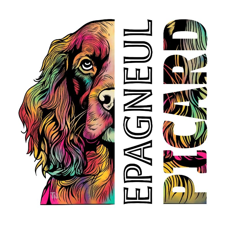 Coloured epagneul Picard