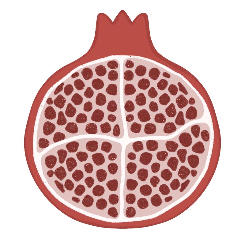 Pomegranate Slice