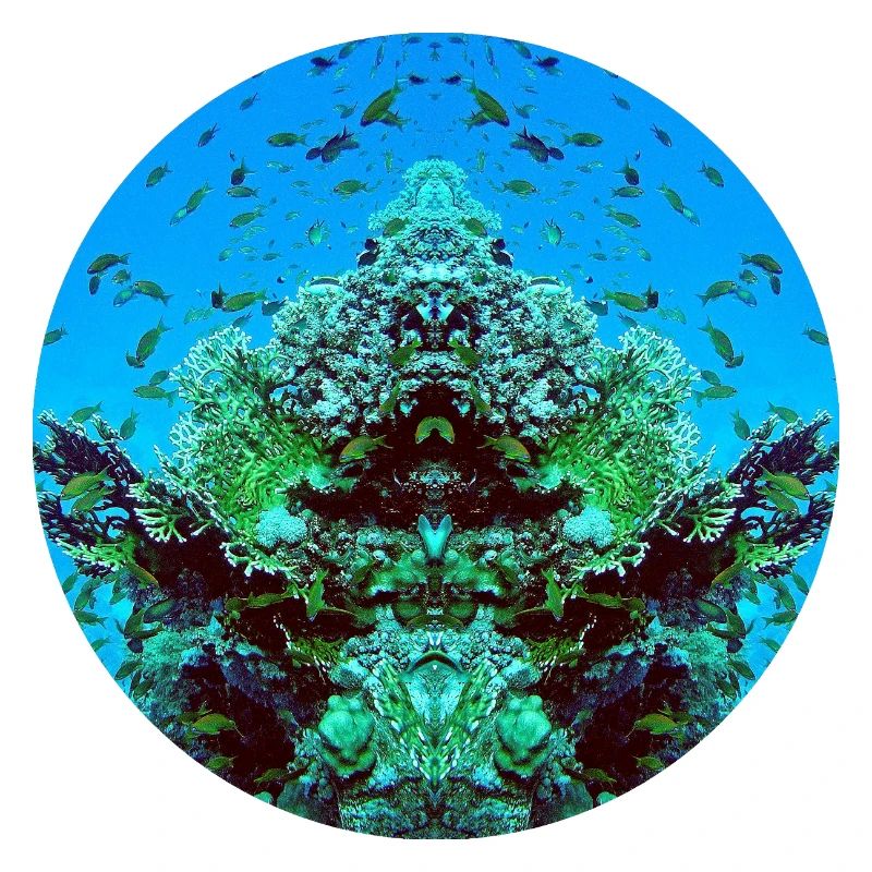 Water creatures in the red