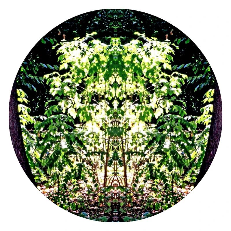 Nature Mandala Leaf Face