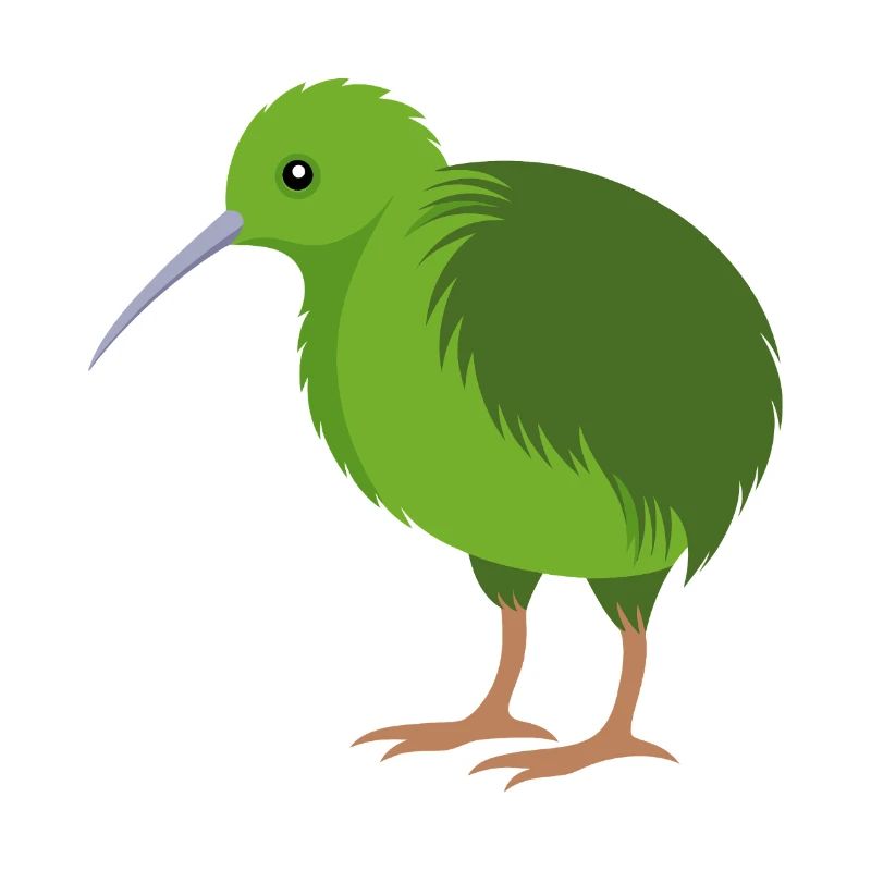 Oiseau kiwi