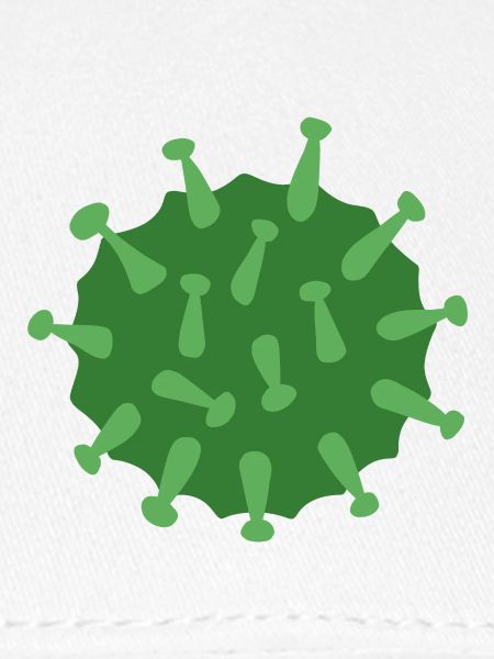 Virus Vert