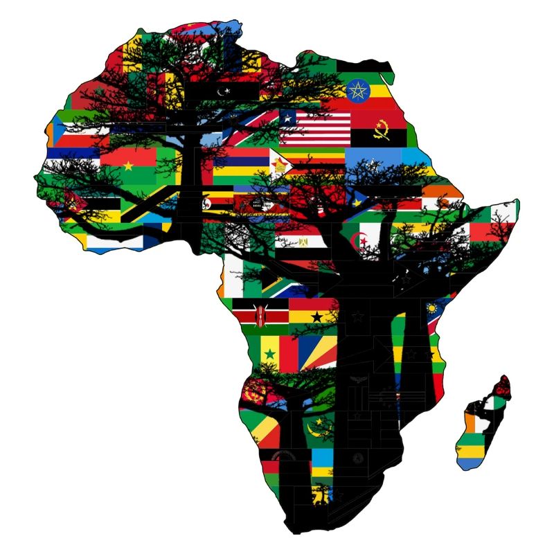 afrique baobab et drapeaux