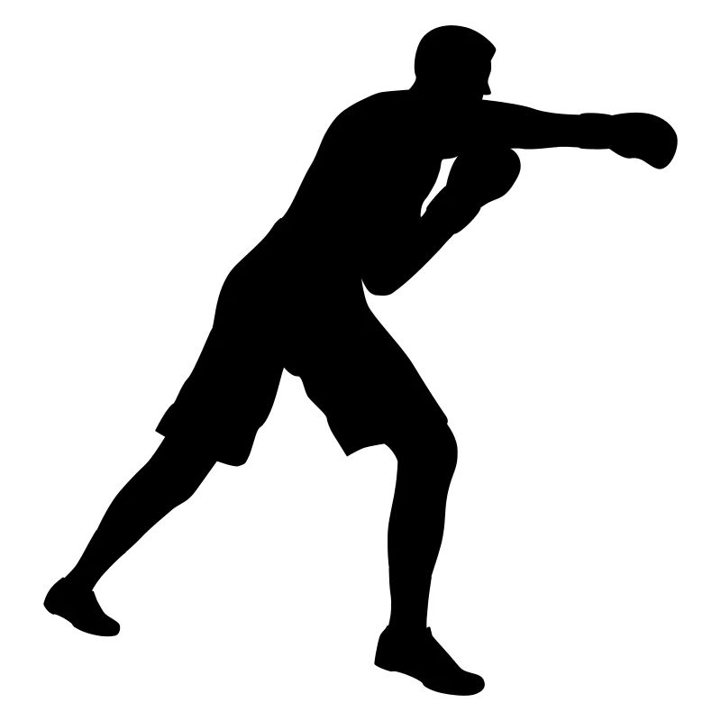 Boxer Boxen im Boxring