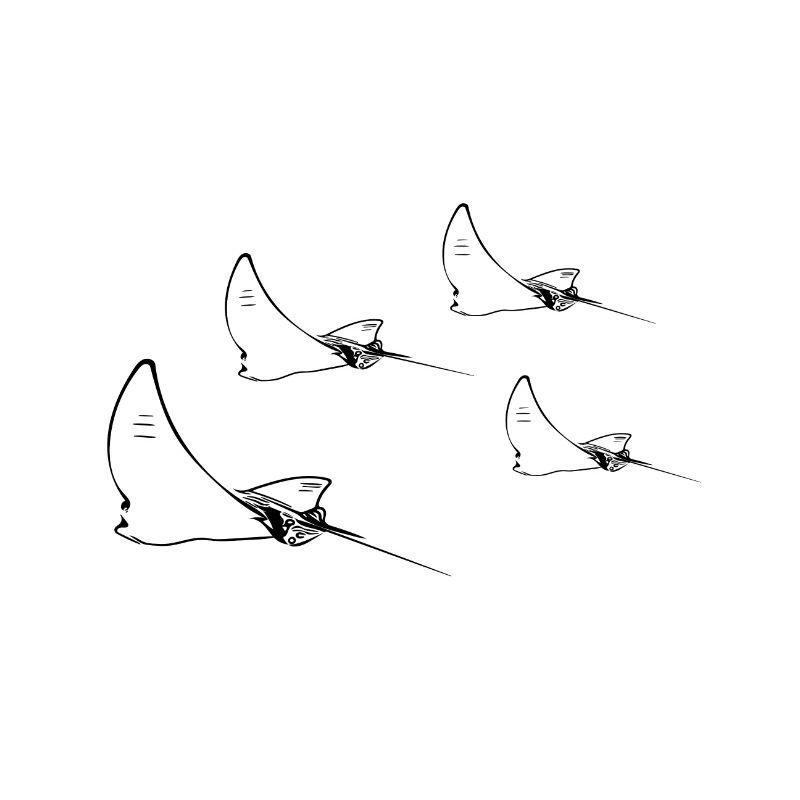 Eagle ray flight formation