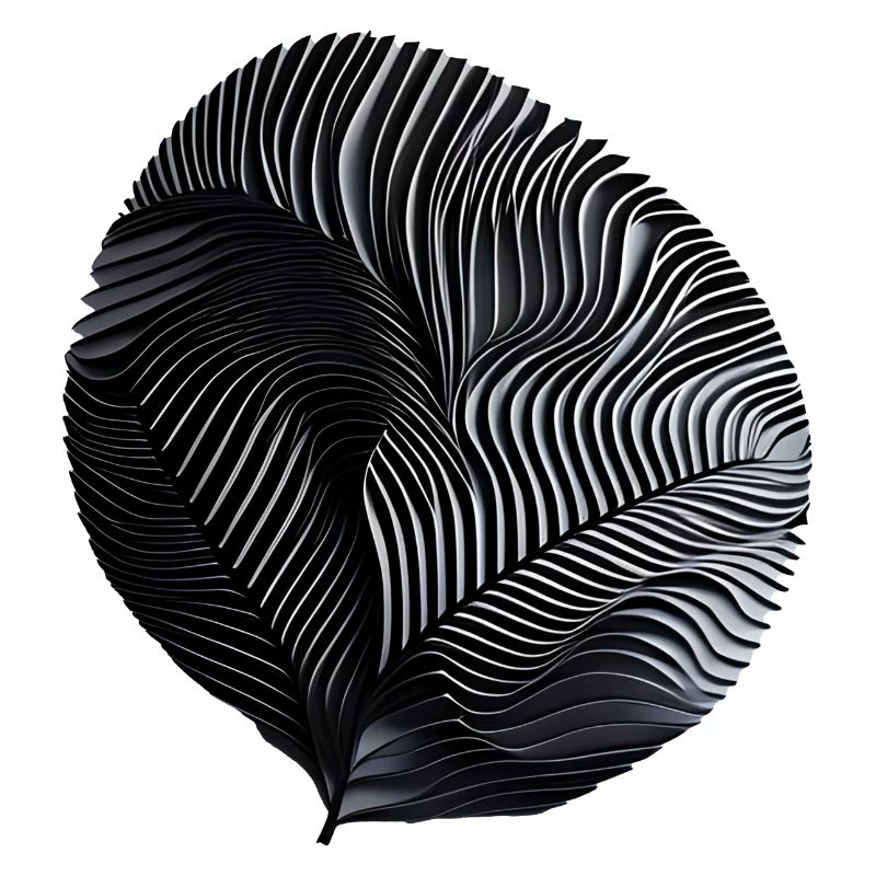 Spirale Ribée Noire et Blanche