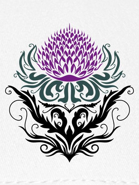 Distel lila Thistle