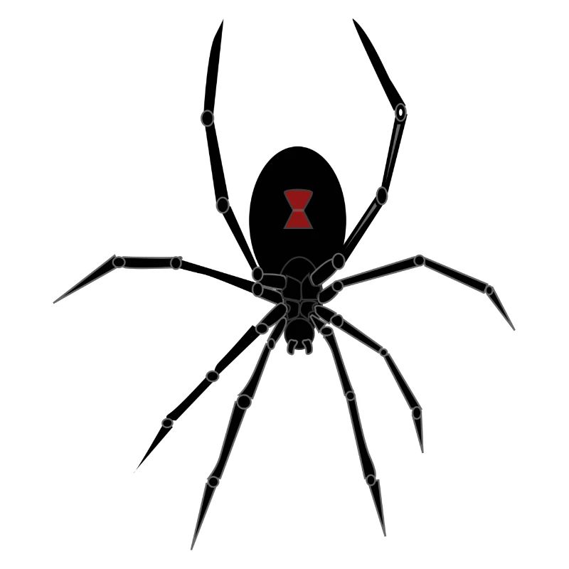 spid 26
