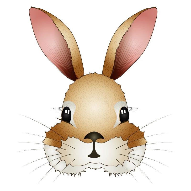 Hand-drawn rabbit head