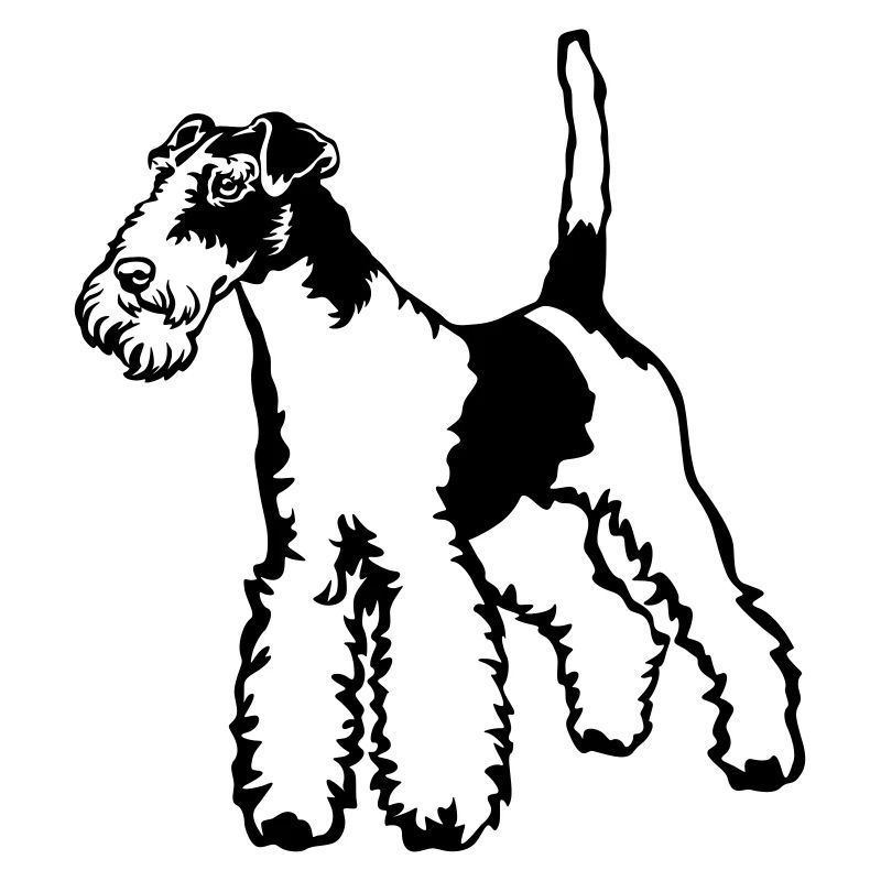 Fox-terrier
